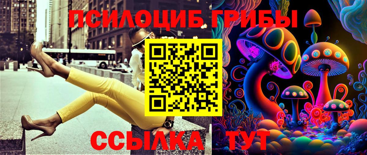Псилоцибиновые грибы MAGIC MUSHROOMS  закладки  Братск  Вход с VPN 