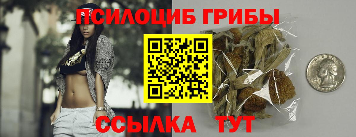Галлюциногенные грибы Magic Shrooms Братск
